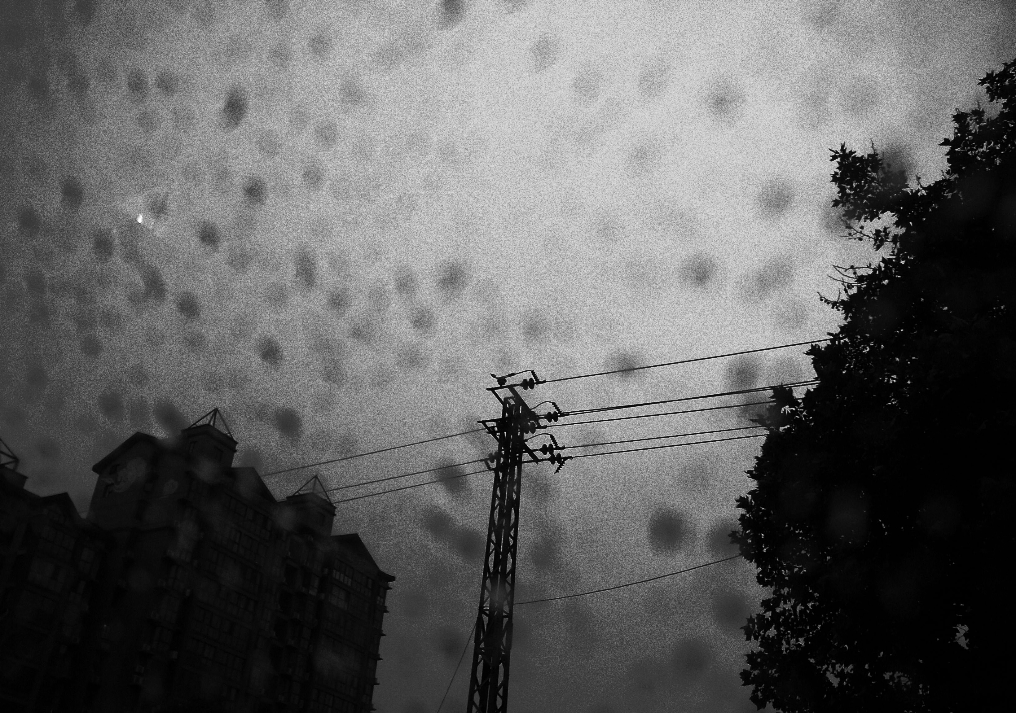 8a484cbacb79cf39d678173062bb2b8